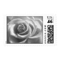 Black and White Rose postage