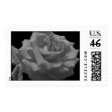 Black and White Rose Postage postage