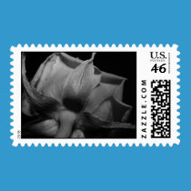 black and white rose stamps