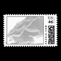 Black and White Rose Postage Stamp