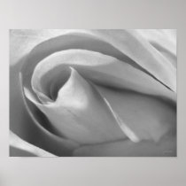 Black and White Rose Poster Print