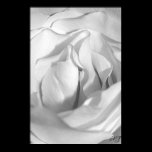 Black And White Rose Print posters