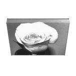 Black and White Rose Wrapped Canvas Art canvas prints