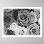 Black And White Roses Pattern Large posters