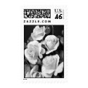Black and White Roses postage