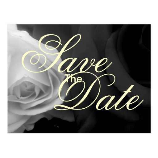 Black and White Roses save the date Postcard Zazzle