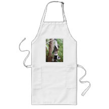 Black and white ruffed lemur is hungry apron