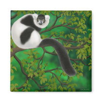 Black and White Ruffed Lemur Magnet by twopurringcats Black and White Ruffed Lemur Magnet