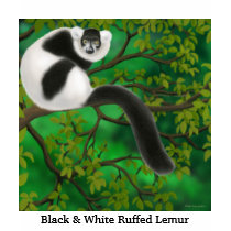 Black and White Ruffed Lemur V-Neck t-shirts