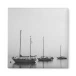 Black and White Sail Boats Anchored in Calm Waters Magnets