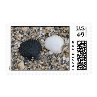 Black and White Sea Shells Postage Stamp