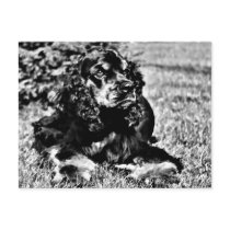 Black and White Sketch of a Cocker Spaniel Postcards