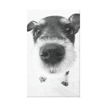 Black And White Small Dog  Stretched Canvas Print