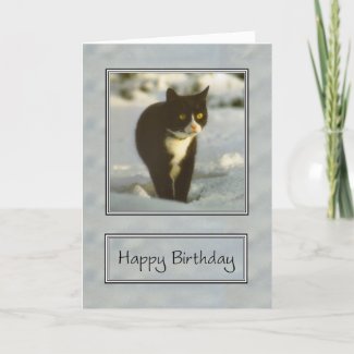 black and white snow kitten happy birthday card