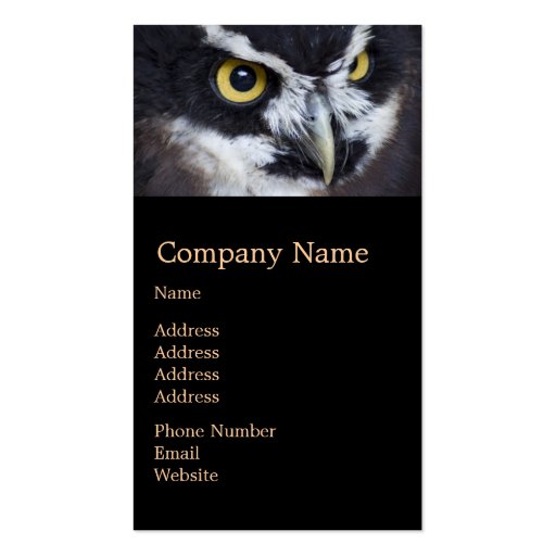 Black and White Specacled Owl Business Cards (front side)