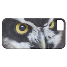 Black and White Specacled Owl iPhone 5 Cover