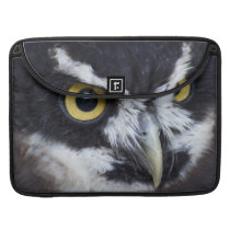 Black and White Specacled Owl Sleeve For MacBook Pro