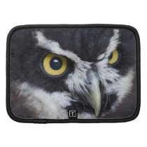 Black and White Specacled Owl Planners
