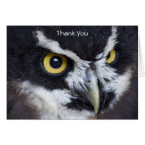 Black and White Specacled Owl Thank You Card