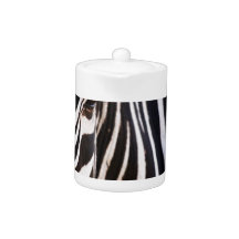 Black and White Striped Zebra