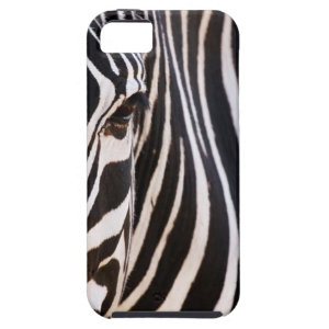 Black White Striped Zebra iPhone Case