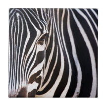 Black and White Striped Zebra Tile