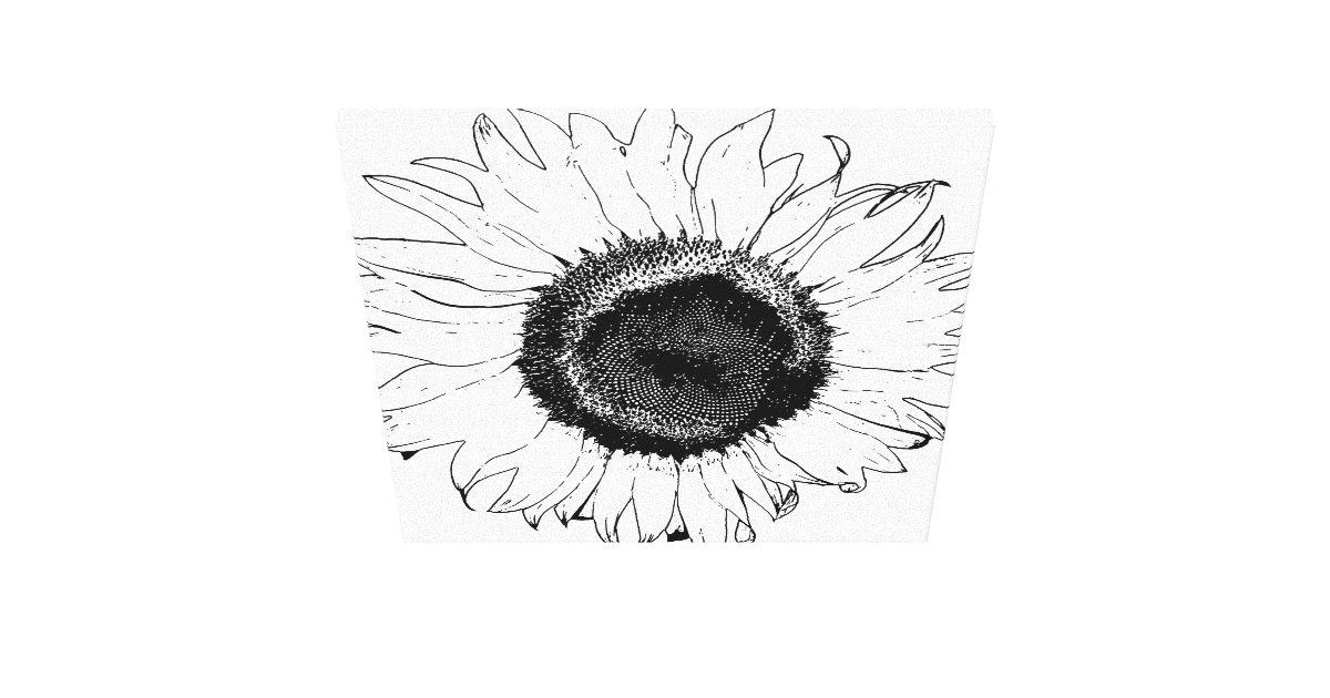 Black and White Sunflower Canvas Print Zazzle