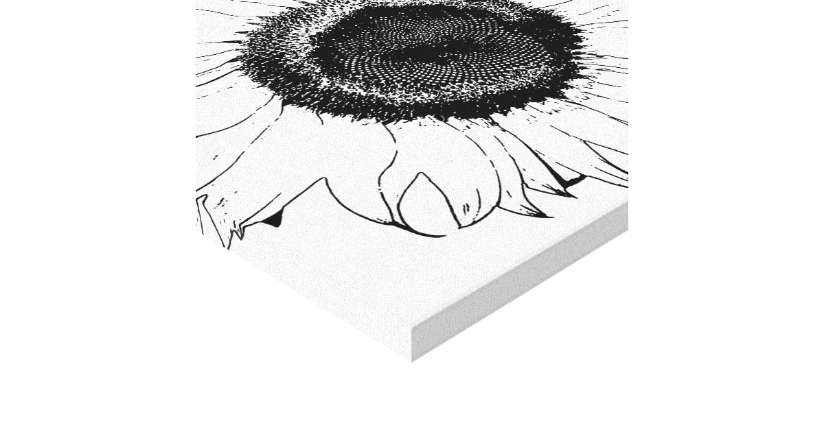 Black and White Sunflower Canvas Print Zazzle