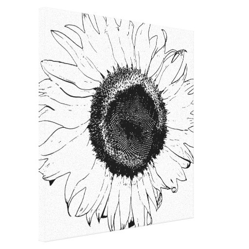 Black and White Sunflower Canvas Print Zazzle