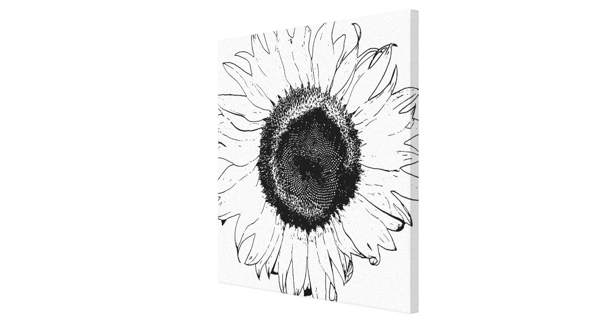Black and White Sunflower Canvas Print Zazzle