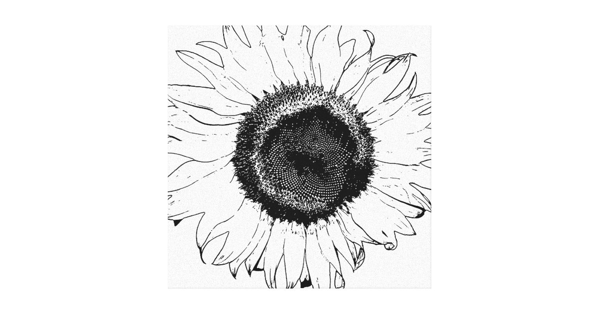 Black and White Sunflower Canvas Print Zazzle