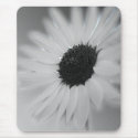 black and white sunflower mousepads