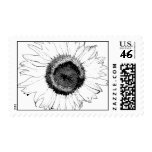 Black and White Sunflower Postage Stamp