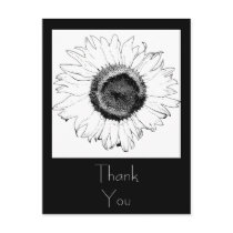 Black and White Sunflower Thank You postcards by loraseverson Black and White Sunflower Thank You postcards