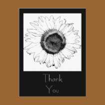 Black and White Sunflower Thank You postcards
