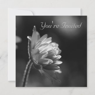 Black And White Sunlit Flower Invite invitation