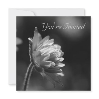 Black And White Sunlit Flower Invite invitation