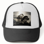 Black and white surreal photograph of pine trees trucker hats
