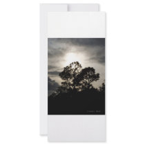 Black and white surreal photograph of pine trees personalized rack card