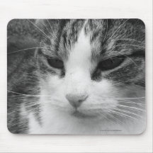 Black and White Tabby Cat Portrait Mousepad