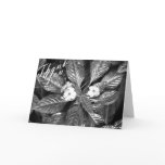 black and white thank you card