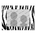 Black and White Tiger Print. Tiger Pattern. Postcards