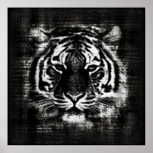 Black and White Tiger Vintage Posters