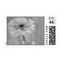 Black and White Tint Daisy Stamp