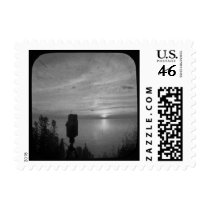 Black And White TLR Camera Portrait TTV Stamps