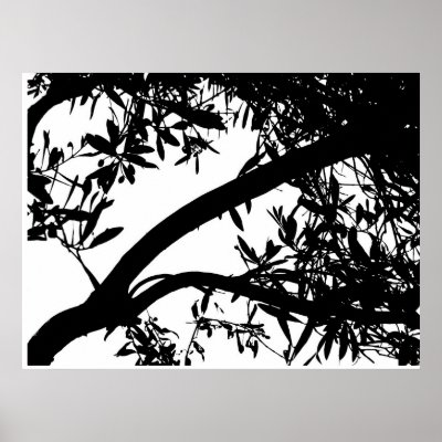 black and white tree photos. Black and White Tree Art Print