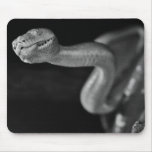 Black and White Tree Boa Mouse Pad