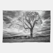 Black and white Tree kitchen Tea towel american mojo kitchen towels