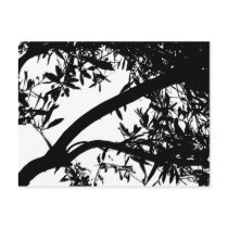 Black and White Tree Postcard