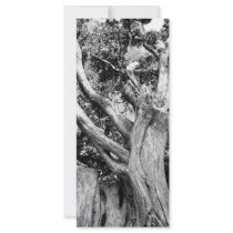 Black and white tree rack card design